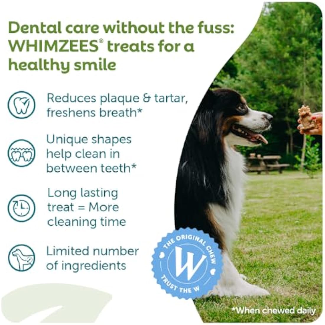 WHIMZEES By Wellness Hedgehog, Dog Dental Sticks, 6 Pieces, Size L, Dog Chews for Large Breeds, Natural, Grain-Free, Rawhide-Free, Vegetarian, No Added Sugar