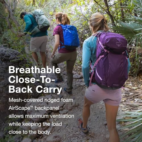 Osprey Unisex Sportlite 25 Backpack (pack of 1)