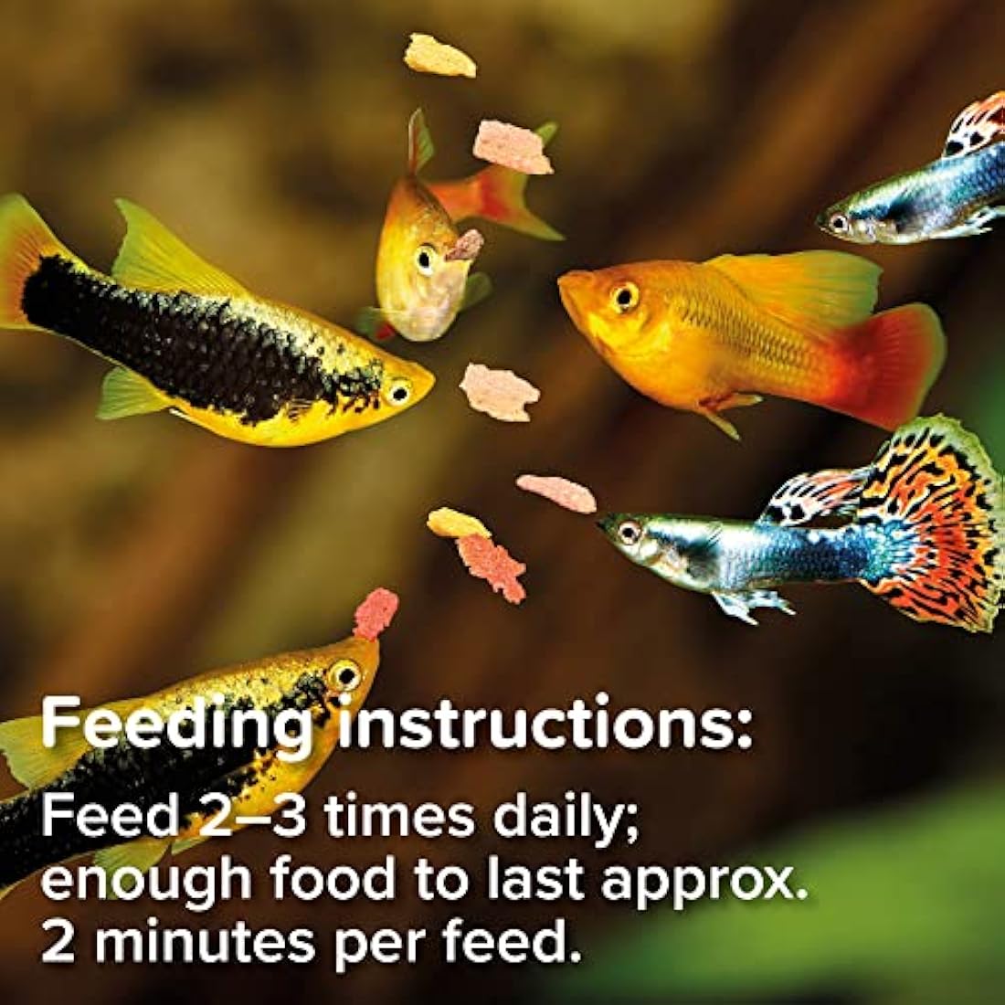 King British | Tropical Fish Flake With Immuno Health Booster | Complete Food for Tropical Fish | Helps Prevent Infection and Disease | High Protein Content | Includes Essential Vitamins | 28g