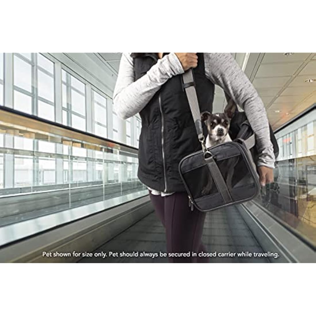 Sherpa Genuine Deluxe Pet Carrier - Airline Approved and Guaranteed on Board - Charcoal Grey, Small