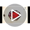 Fantasydice- Fire Dragon - Dice Tray - 20CM Octagon with Lid and Dice Staging Area- Holds 5 Sets of Dice(7 / Standard) For All Tabletop RPGs Like D&D, Call of Cthulhu, Shadowrun. (RED)