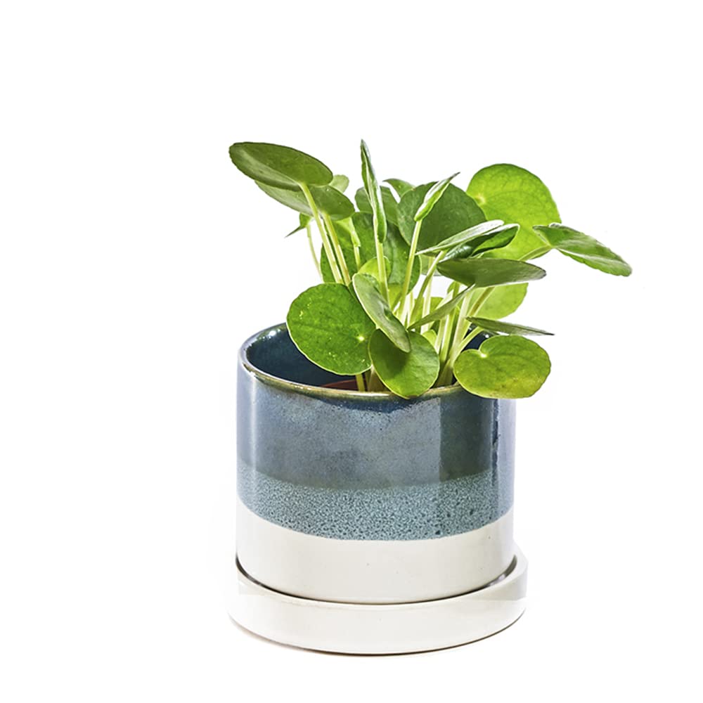 Chive ?Minute? Ceramic Plant Pots ? Cute, Beautiful Pots for Flowers & House Plants Indoor & Outdoor ? Set of 3 ? Green & Blue