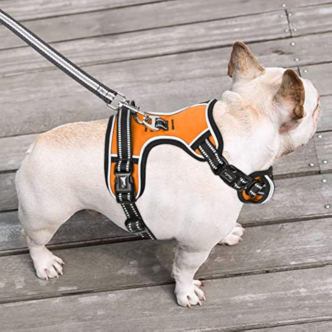 HEELE No Pull Dog Harness - Small, Reflective, Adjustable with Front & Back Leash Attachments & Soft Padded Control Handle - Orange, S