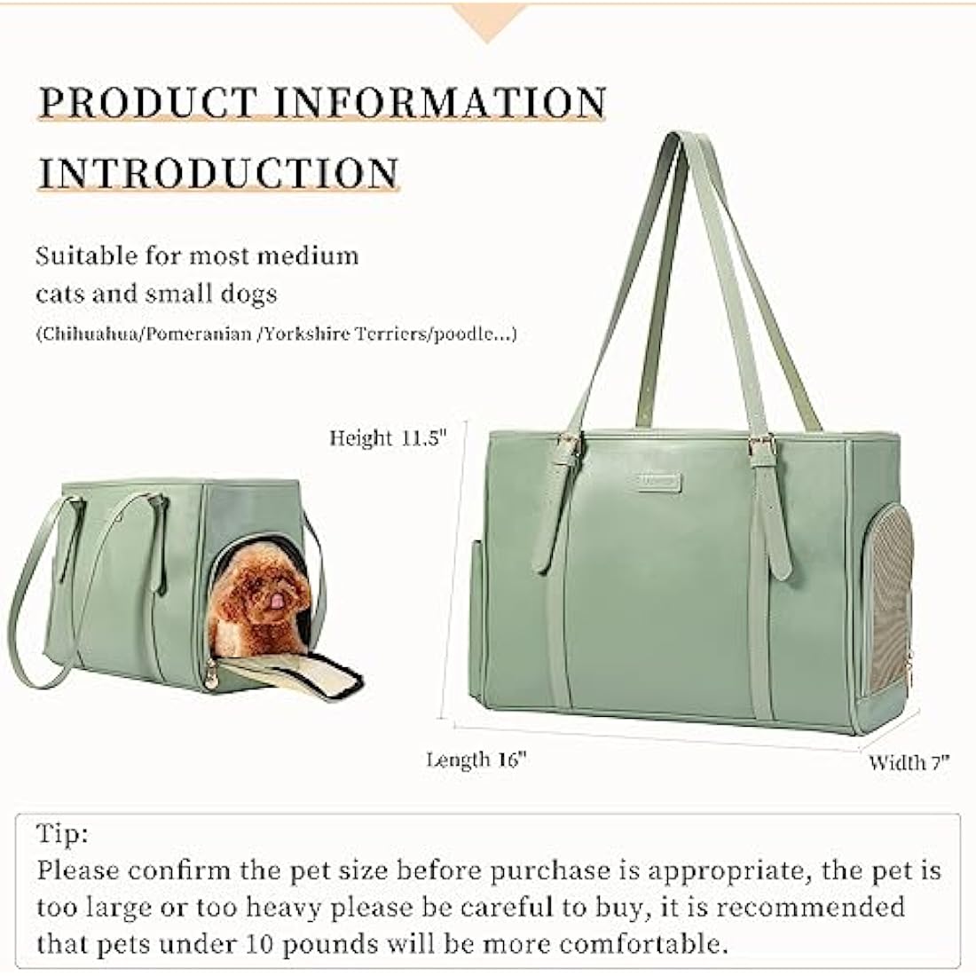 Lasaviin Fashion Dog Purse Pet Carrier Leather Bag for Small Dogs Cats Puppy, Portable Tote Bag Airline Approved Soft-Sided Carriers (Green)