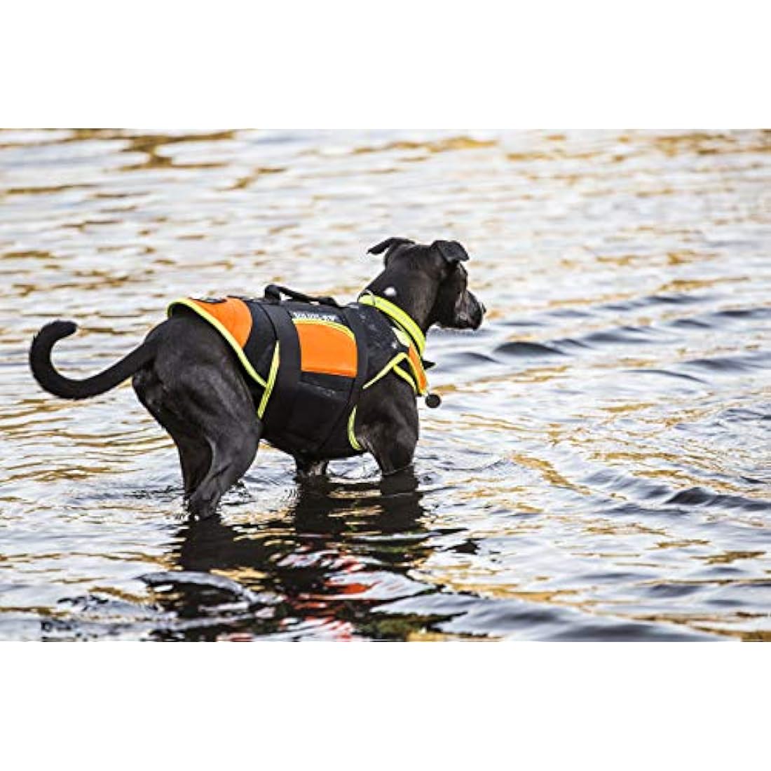 JULIUS-K9 IDC Multifunctional 3in1 Dog Vest, Size: L, Black and UV Orange