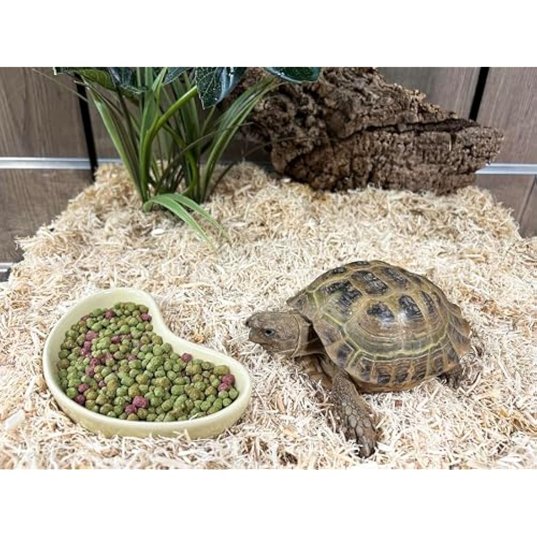 Komodo Complete Holistic Tortoise Diet Fruit and Flower 170g, Balanced food for Torotises, Natural Flavoured Tortoise Food