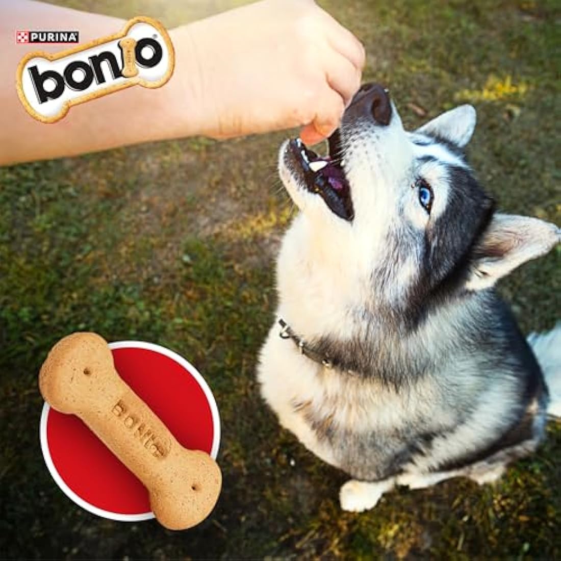 Bonio The Original Biscuits Dog Food 12.5Kg