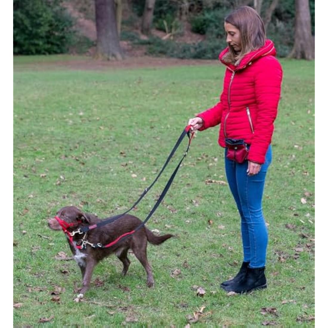 Company of Animals HALTI Control Lead Size Large Black, 2m, Professional Dog Lead to Stop Pulling, Perfect for Puppy Walks, Easy to Use Double-Ended Dog Training Lead with 2 Handles