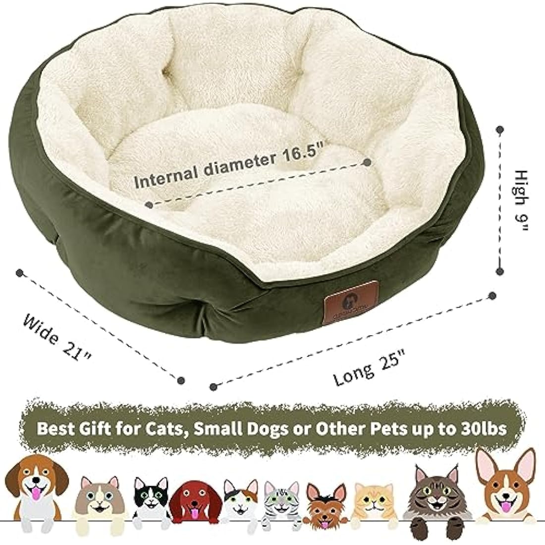 Asvin Medium Dog Bed for Medium Dogs, Cat Beds for Indoor Cats, Pet Bed for Puppy and Kitty, Extra Soft & Machine Washable with Anti-Slip & Water-Resistant Oxford Bottom, Green, 25 inches
