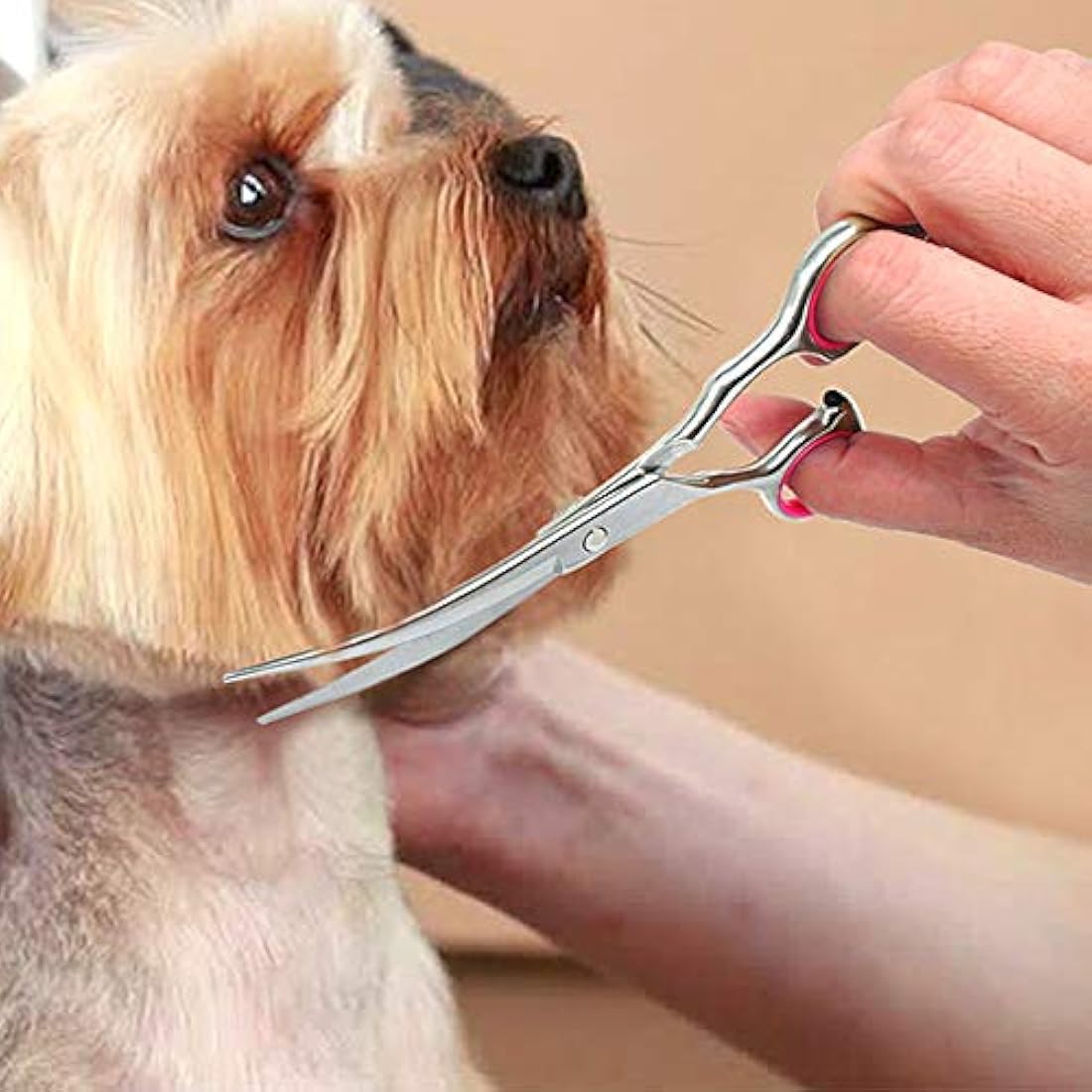 DONGKER 6 inch Stainless Steel Pet Grooming Scissors, Down Curved, Ambidextrous, Classic Style