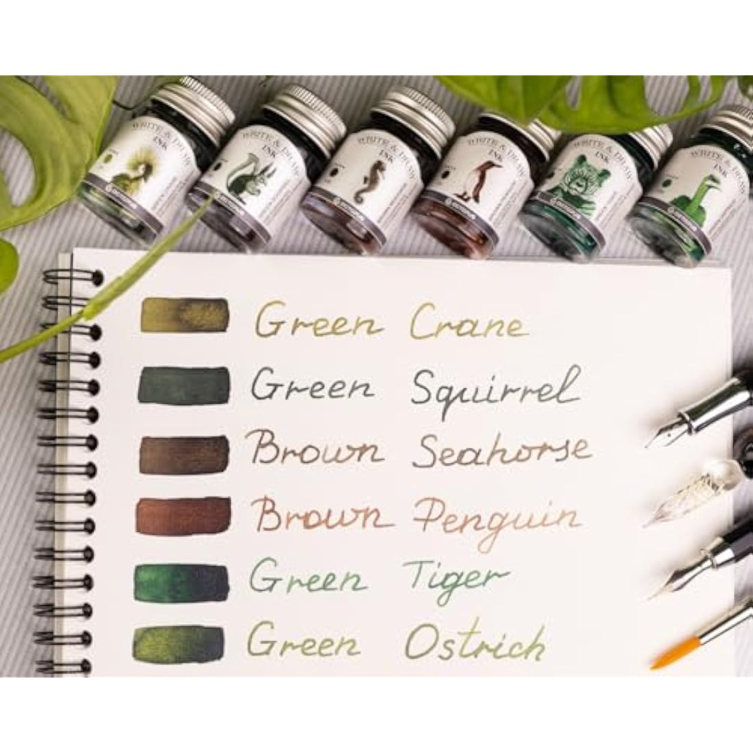 Octopus Write and Draw Ink Set Forest Waterproof Ink for Writing and Drawing, Calligraphy Ink, Drawing Ink for Fountain Pen, 6 x 10 ml