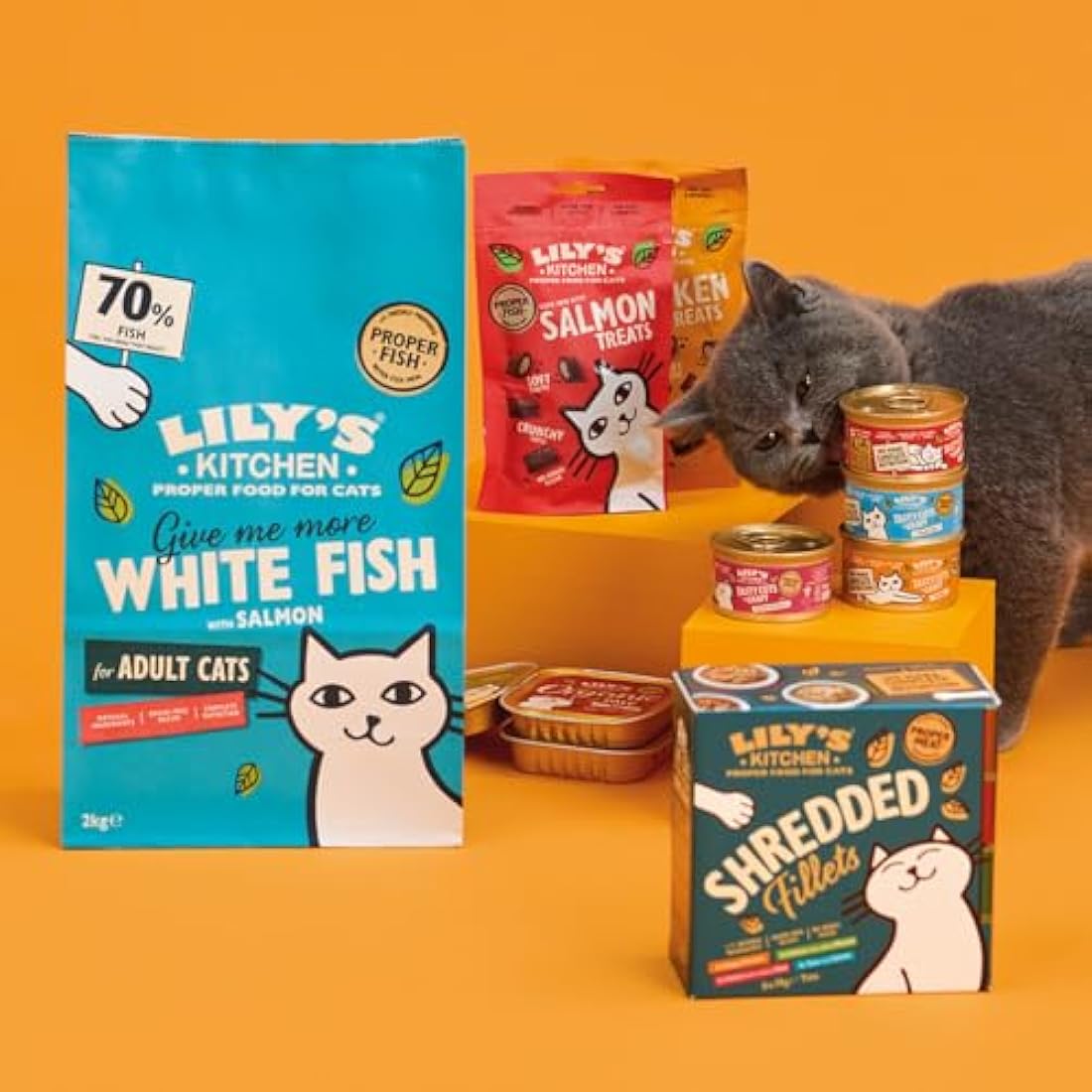 Lily's Kitchen Made with Natural Ingredients Adult Dry Cat Food White Fish with Salmon Grain-Free Recipe 4 x 800g