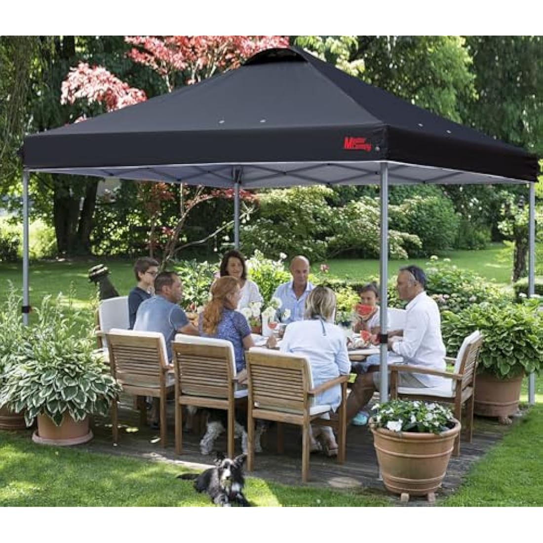 MASTERCANOPY Durable Ez Pop-up Gazebo Tent with Roller Bag (3x3M,Black)