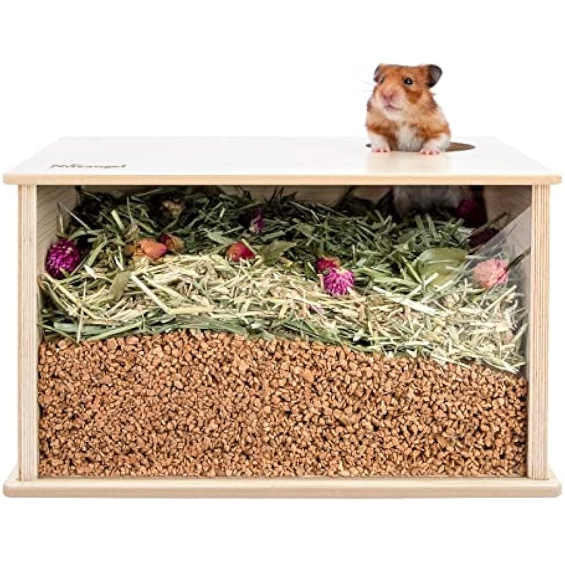 Niteangel Visible Hamster Digging Box for Syrian Dwarf Roborovski Campbell Hamsters Gerbils Mice Lemmings Degus or Other Small-Sized Pets (Burlywood)