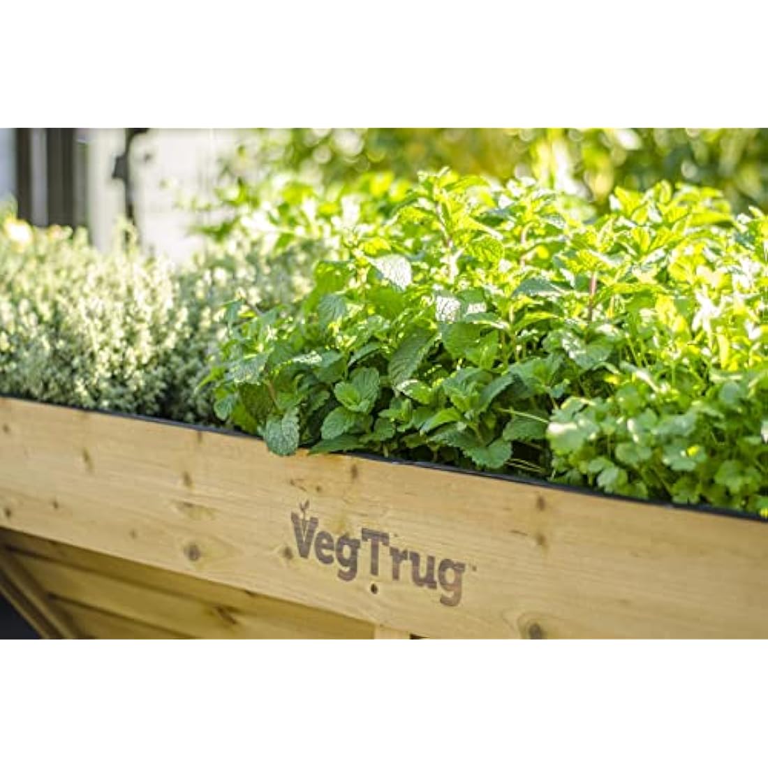 VegTrug Medium Wallhugger