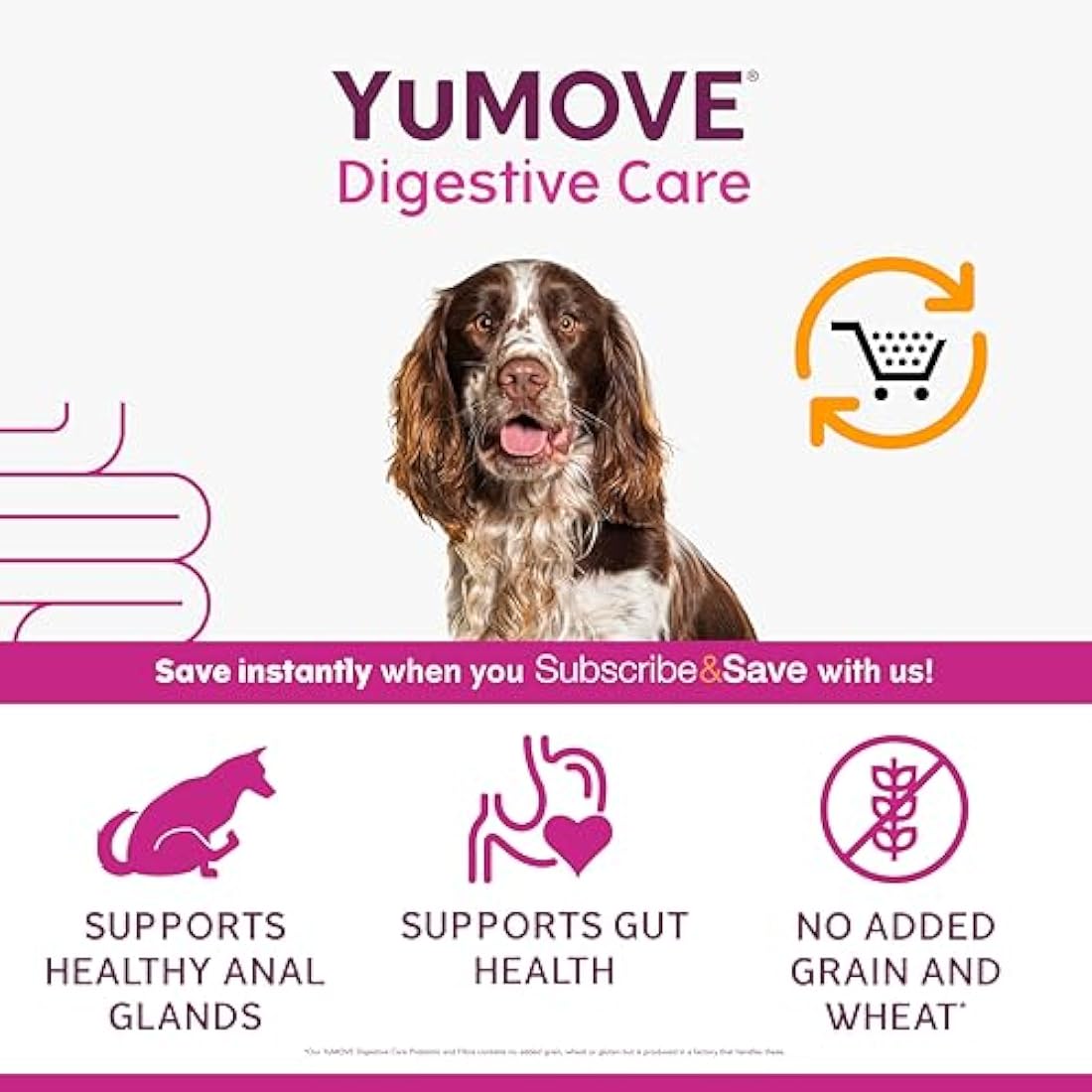 YuMOVE Digestive Care & Fibre, Dog Pre and Probiotic Supplement for Gut Health, Digestive and Anal Glande Support, All Ages and Breeds with Sensitive Digestion, 180g