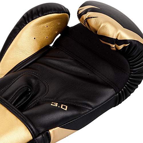 Venum, Challenger 3.0 Boxing Gloves, Unisex Adult, 10 Oz, Black/Gold