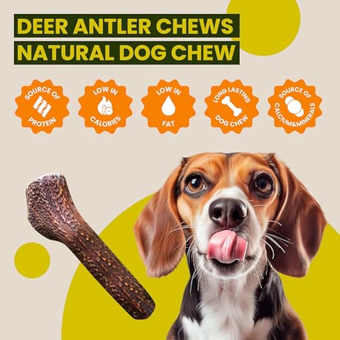 Scottish Deer Antler Dog Chews - Naturally Shed, Long Lasting, 100% Natural… (Deer Antler Chew SXL 350-450g)