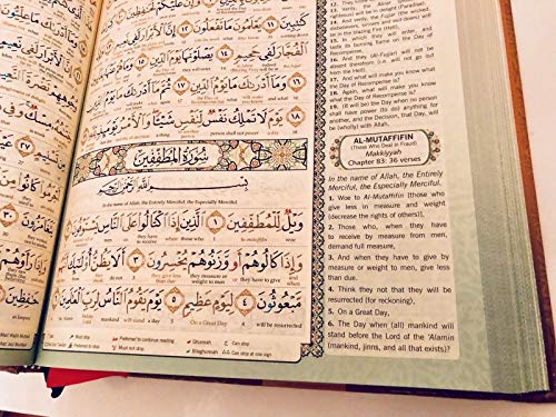 MAQDIS Al Quran Word for Word Translation Colour Coded Tajweed Arabic-English
