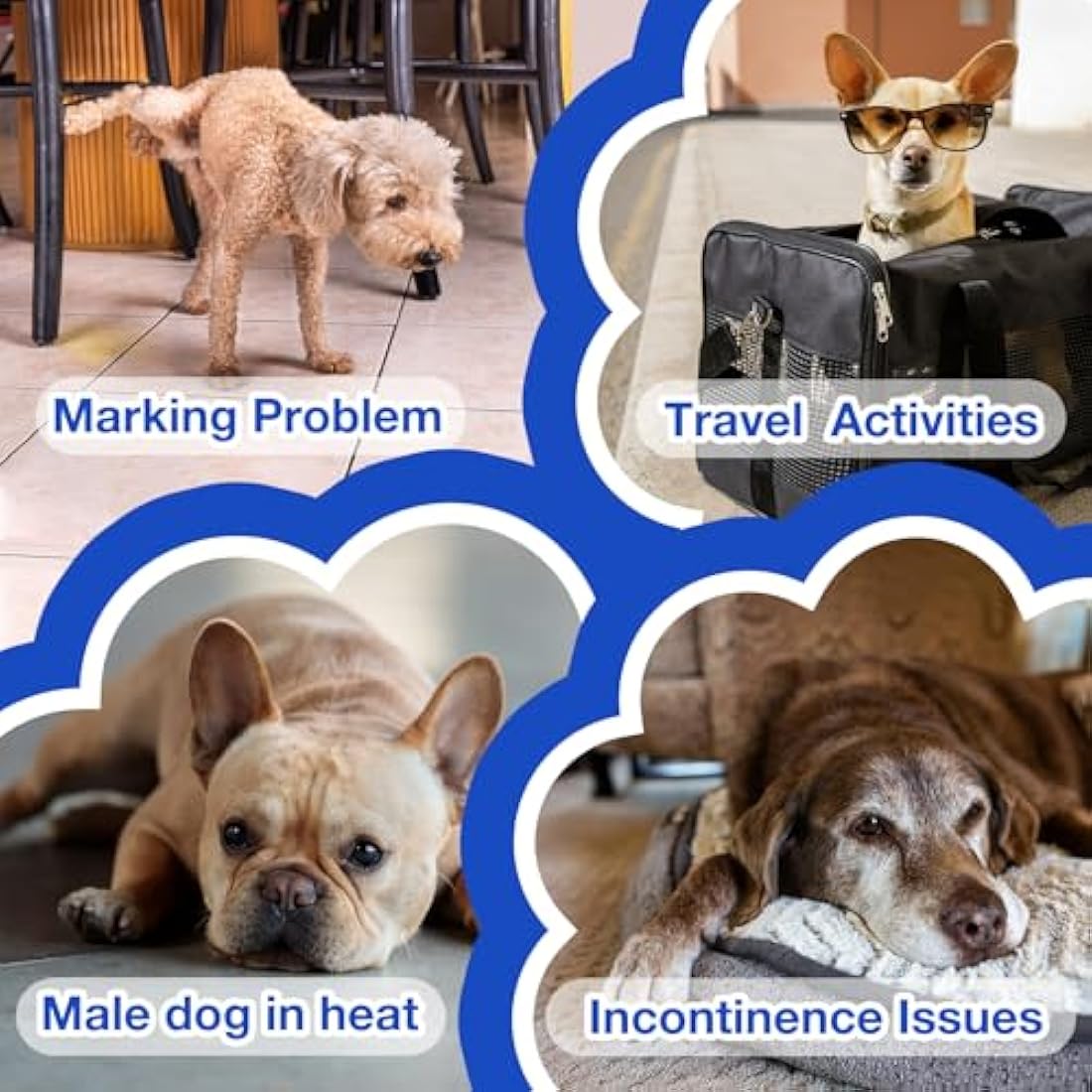 MICOOYO Disposable Dog Nappies Male, Super Absorbent Male Dog Wraps, Doggy Diapers with Wetness Indicator (L, 50pack)
