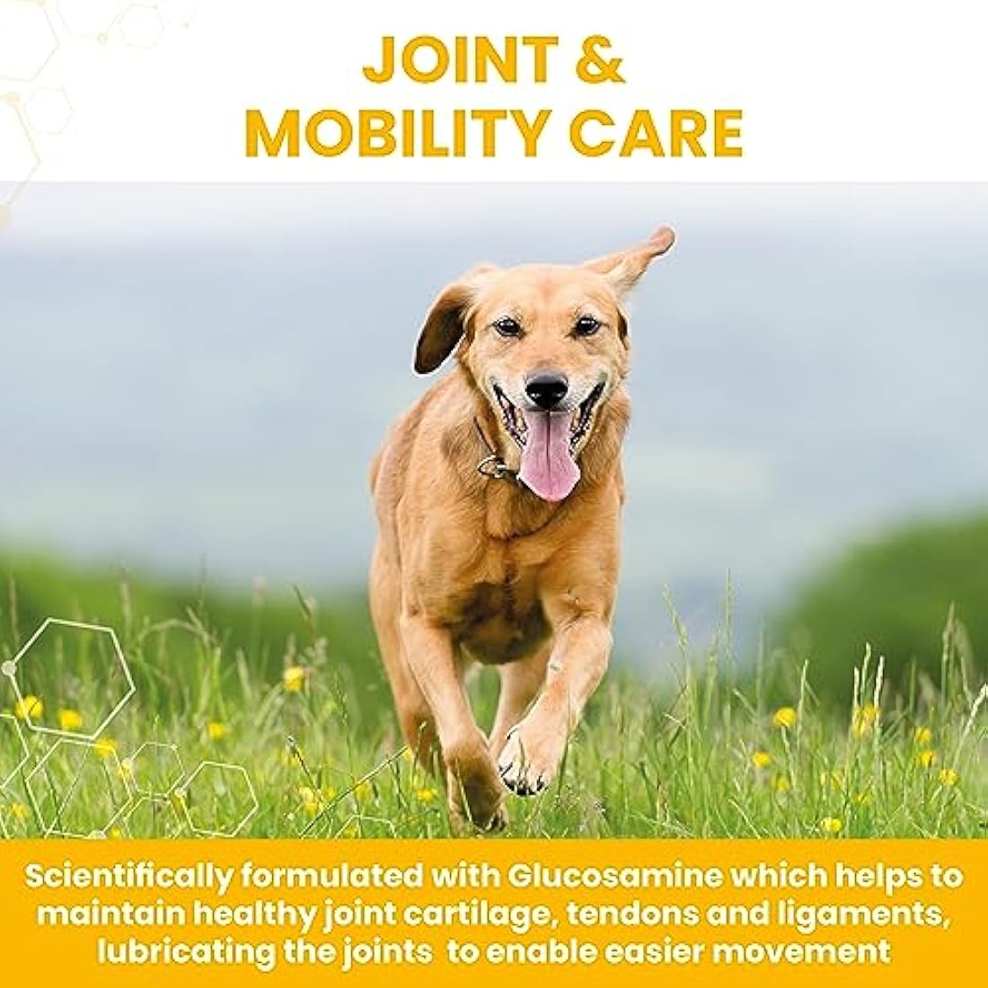Vetzyme Flexible Joint Supplements for Dogs (30 Tablets) - Hip and Joint Care with Glucosamine, Tasty Chicken Flavour