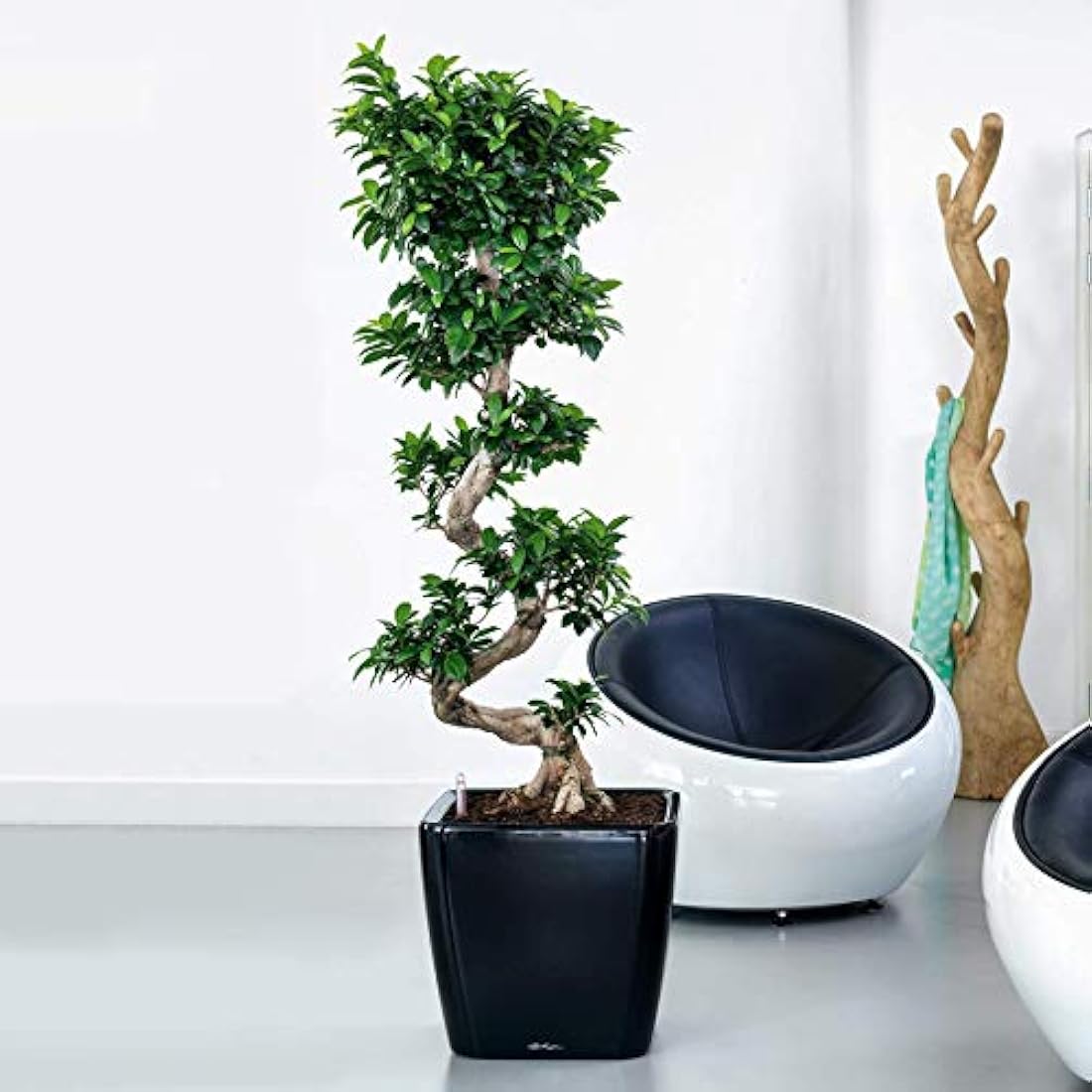 Lechuza Self Watering Plant Pot QUADRO LS 43 Garden Flower Indoor and Outdoor Plastic Planter with Drainage Hole H40 L43 W43 cm Charcoal Metallic