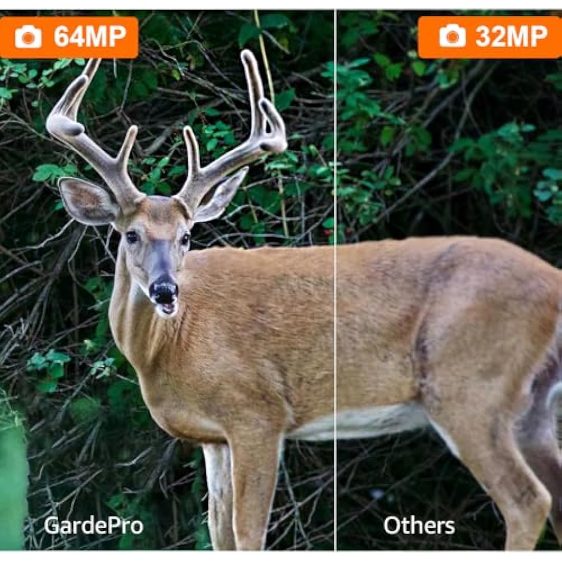 GardePro A3S Wildlife Camera, 64MP 1296p, Trail Camera with H.264 Video, Next-Gen Imaging Technology, 100ft No Glow Night Vision, 0.1s Trigger Speed Motion Activated, Camera Traps for Garden