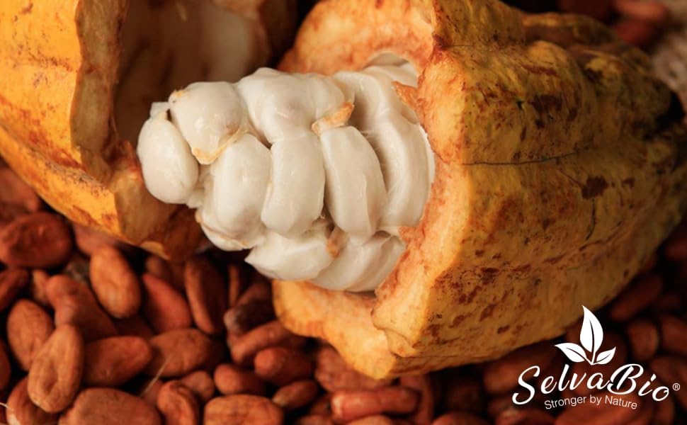 Organic Ceremonial Grade Cacao - 100% Raw Criollo Variety from Farmers and Ashaninka & Nomatsigenga Tribes in Peru, 500g