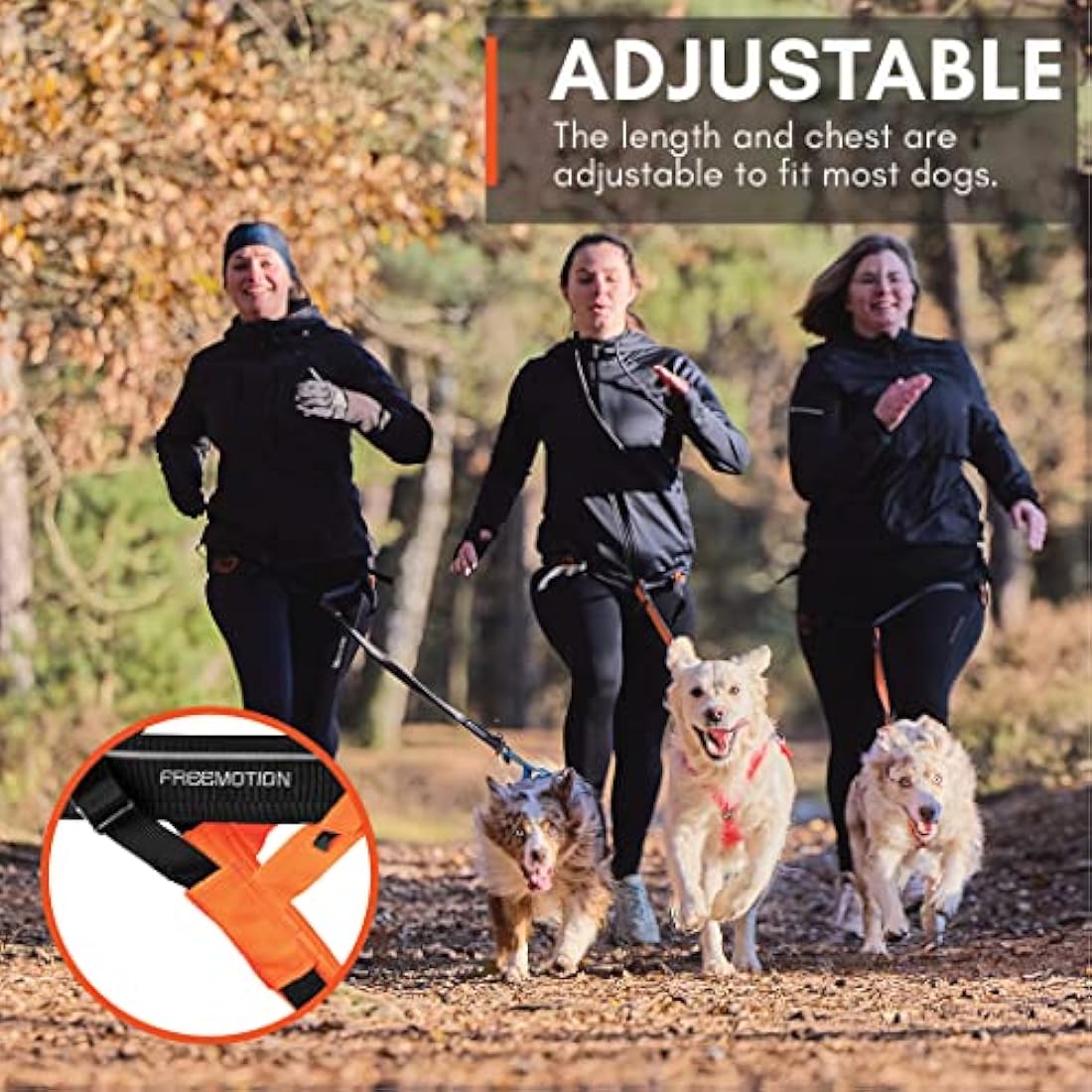 Non-stop dogwear Freemotion harness 5.0 Dog Pulling Harness for Sports like Running, Biking and Skiing with Dogs, Professional Adjustable Dog Harness, Orange/Black, Size 6