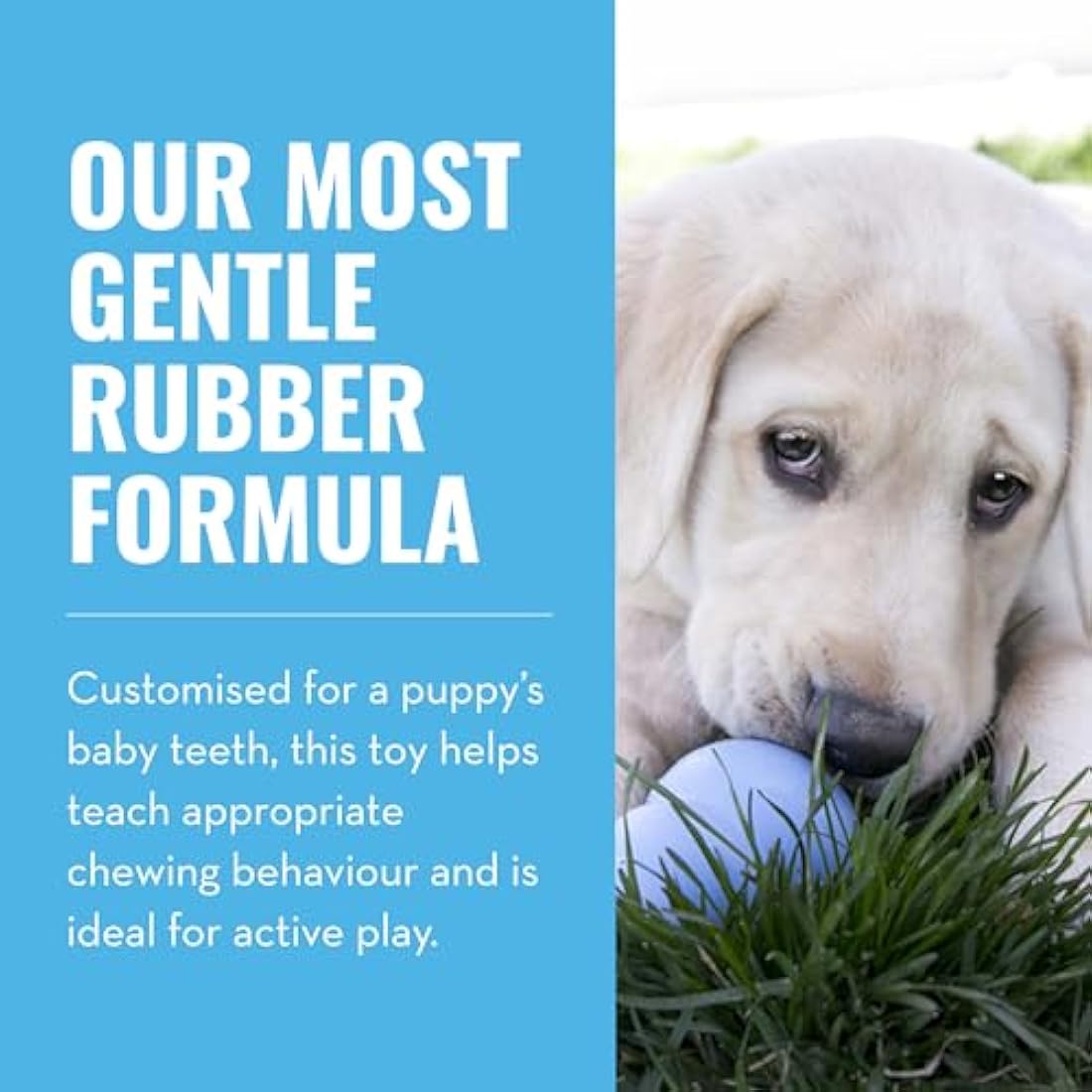 KONG Puppy - Stuffable Teething Chew Toy for Dogs - Natural Rubber Material - For Large Puppies, Blue