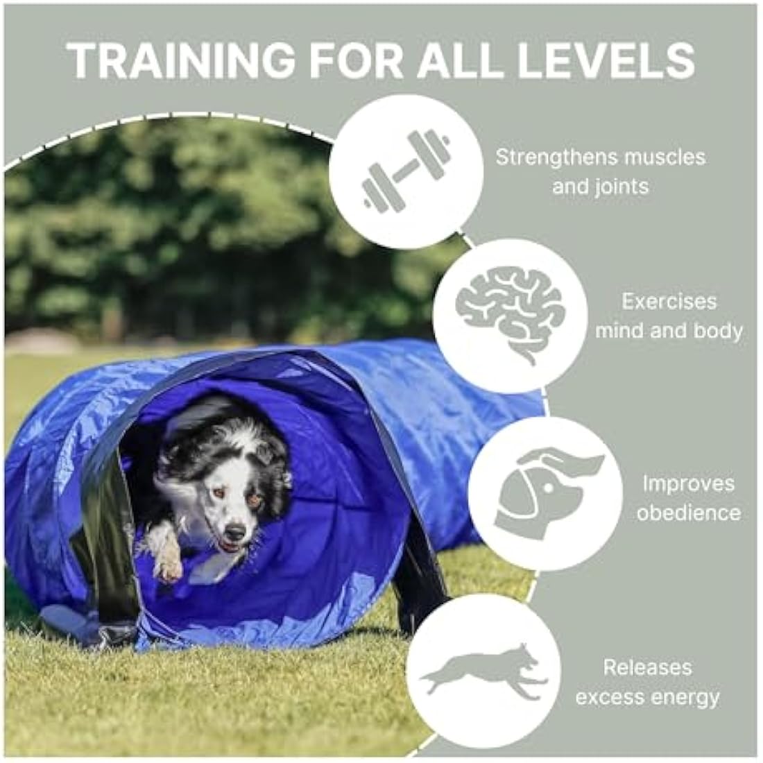 Trixie Dog Activity Agility Basic Tunnel, 60 cm ﾗ 5 m, Blue