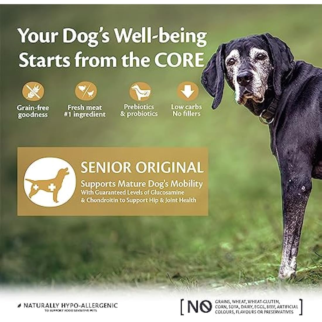 Wellness CORE Senior Original, 10kg, Turkey & Chicken, Dry Dog Food for All Breeds, +7 Years Old, Grain-Free, High Meat Content, Protein-Rich, Supports Ageing Dogs' Needs