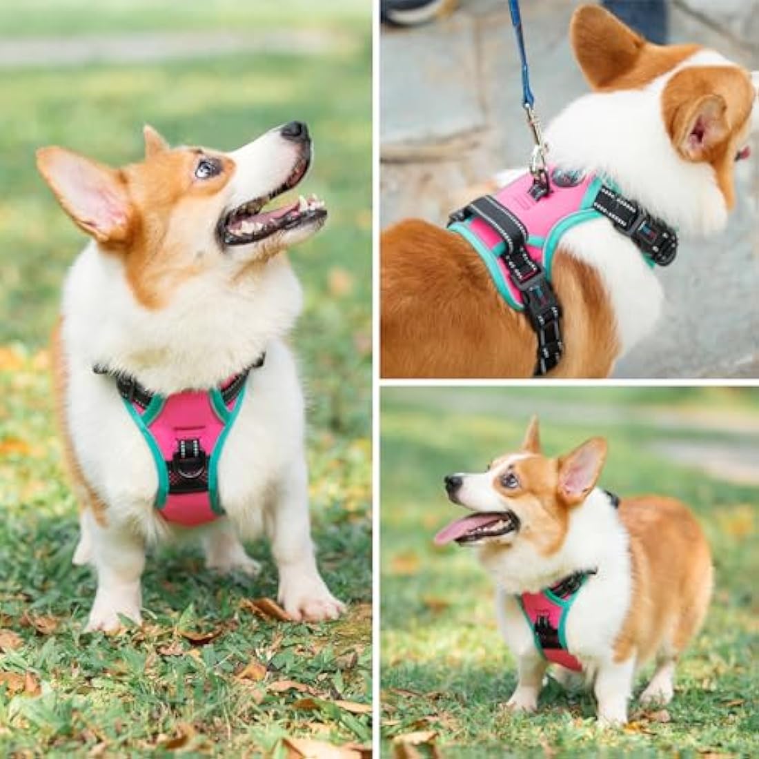 PHOEPET Upgraded No Pull Dog Harness, Reflective Adjustable Vest, with a Training Handle + 2 Metal Leash Hooks+ 3 Snap Buckles +4 Slide Buckles(S, Pink)