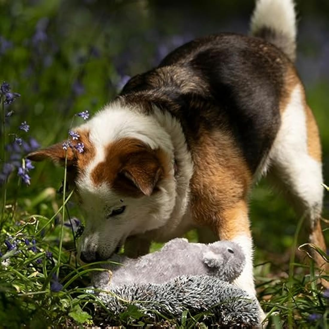 Petface Cyril The Squirrel Plush Dog Toy with Built-In Squeaker (Pack of 1)