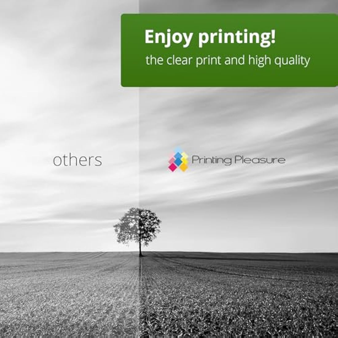 Printing Pleasure 2 Compatible Laser Toner Cartridges for HP Laserjet P2030 P2035 P2050 P2055 P2055D P2055DN P2055X Canon MF5880DN LBP6300DN LBP6310DN LBP6650DN LBP6670DN | CE505A 05A CRG 719 3479B002