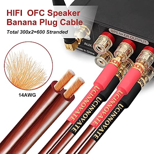 WOWLED 2 Pack High-end Pure Copper HIFI OFC Speaker Wire Cable with Banana Plug, 3m Gold-Plated Banana Tip Plugs 600 Strand 14 AWG for Audio Speaker HIFI System (3m / 9.8FT)