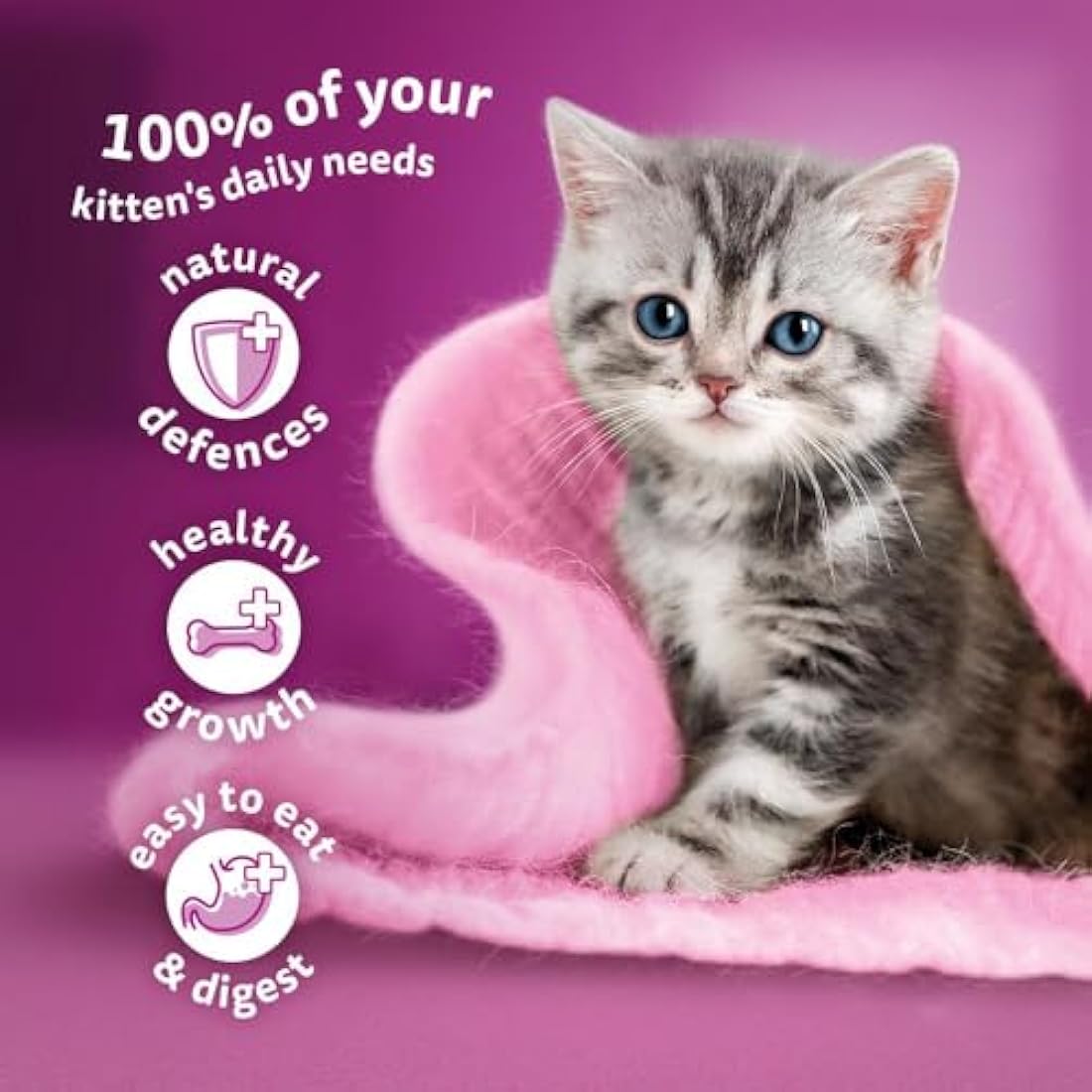 whiskas Junior Classic Selection in Gravy 84 Pouches, Wet Kitten and Cat Food, Selection of Beef, Lamb, Chicken and Poultry, Megapack (84 x 85 g)