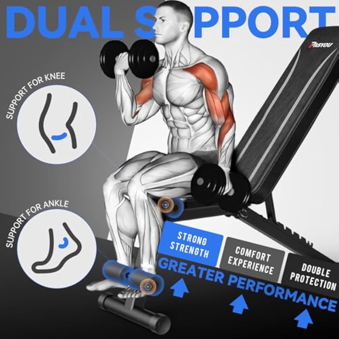 PASYOU Adjustable Weight Bench Full Body Workout Multi-Purpose Foldable Incline Decline Exercise Workout Bench for Home Gym,PA300