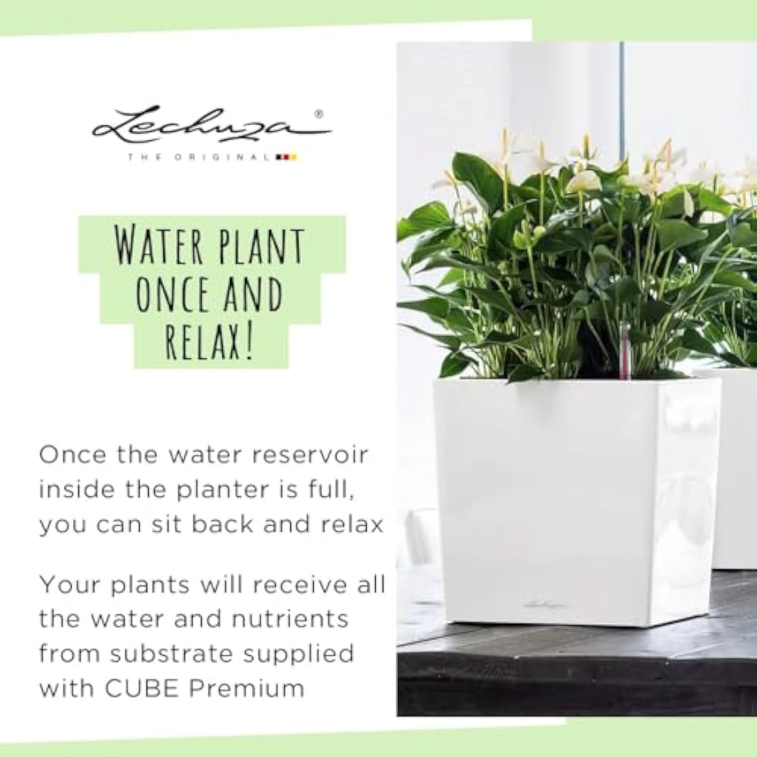 Lechuza Self Watering Plant Pot CUBE 50 Garden Flower Indoor and Outdoor Large Plastic Planter with Drainage Hole H50 L50 W50 cm Charcoal Metallic