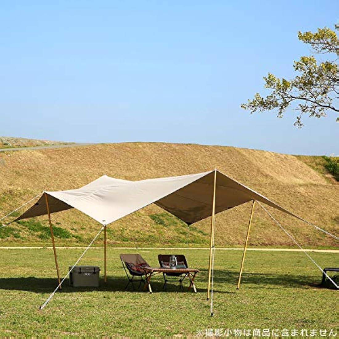 Tatonka Tarp 1 TC (425 x 445 cm) - Waterproof Tarp Made of Cotton Blend Fabric with Excellent UV Stability, Eyelets and Liners - Protects Against Sun, Wind and Rain - Beige