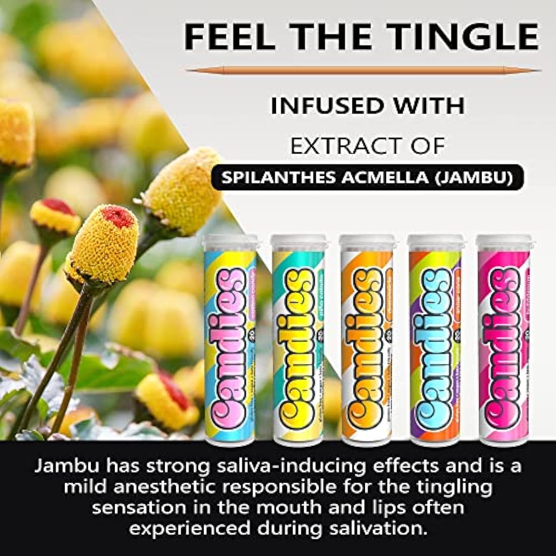 Xero Picks Candies - Infused Flavored Toothpicks (Candies Variety,5 Pack - 100 Picks) Bubblegum, Pina Colada, Orange Creamsicle, Cotton Candy, Snow Cone and Candy Cane