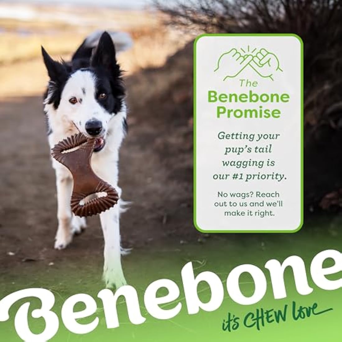Benebone Indestructible Dental Dog Chew Toy for Aggressive Chewers, Long Lasting Tough Boredom Breaker for Dogs, Real Bacon Flavour, For Small Dogs, Made in the USA.