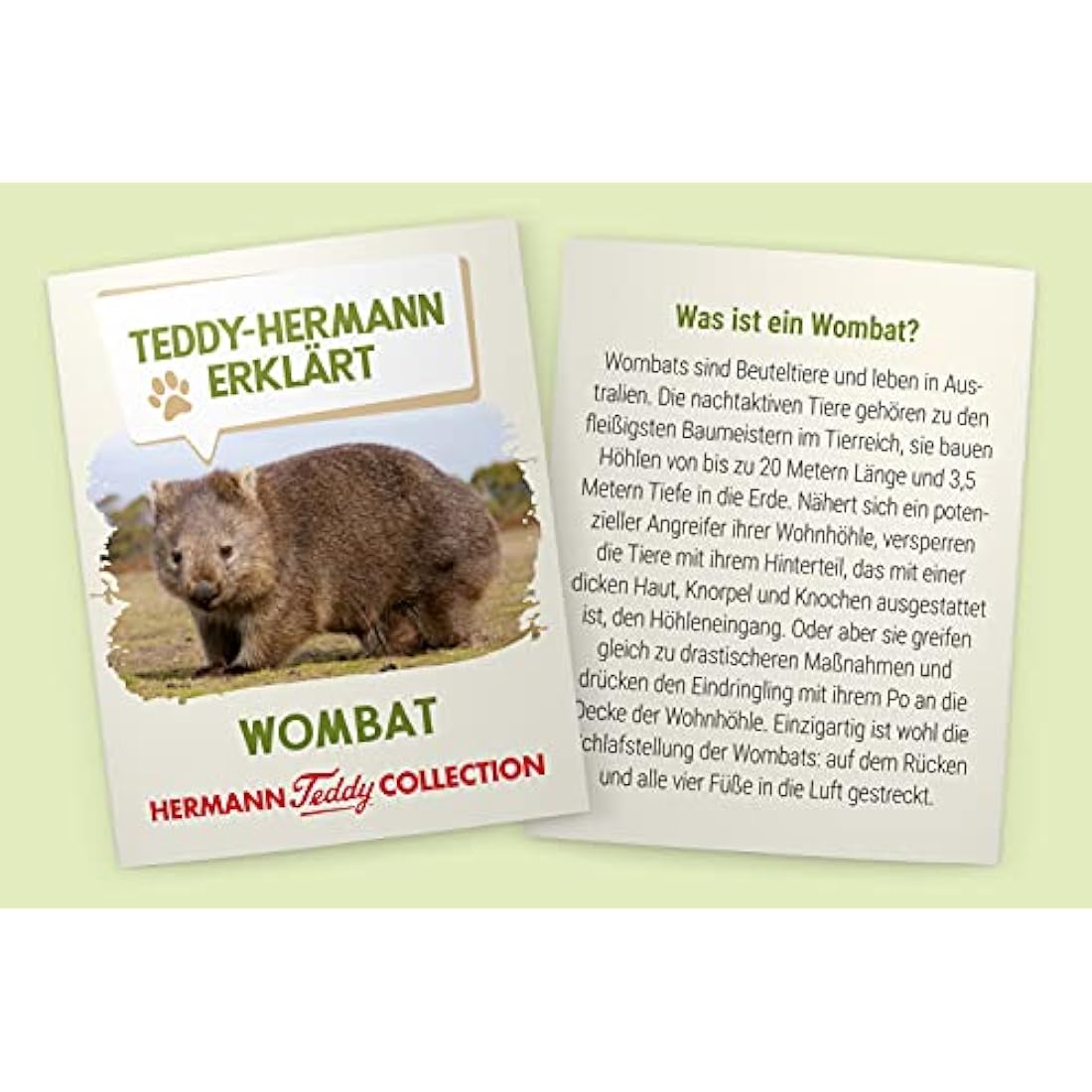 Teddy Hermann 91426 Wombat 10,2"/26 cm, Soft Toy, Plush Toy, Special Edition "Teddy Hermann Explains"