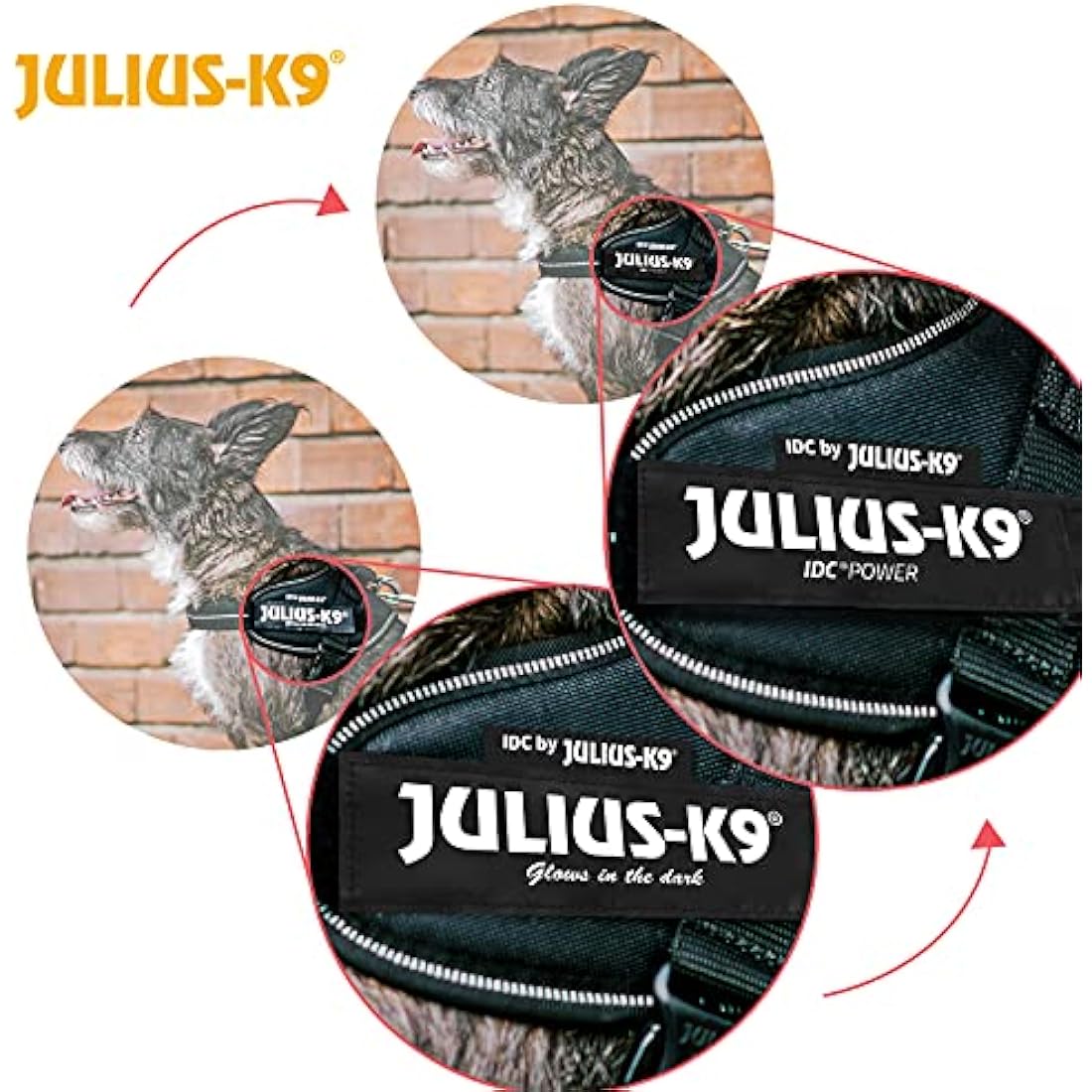 JULIUS-K9 IDC Powerharness, Size: XS/Mini-Mini, Pink Flowers