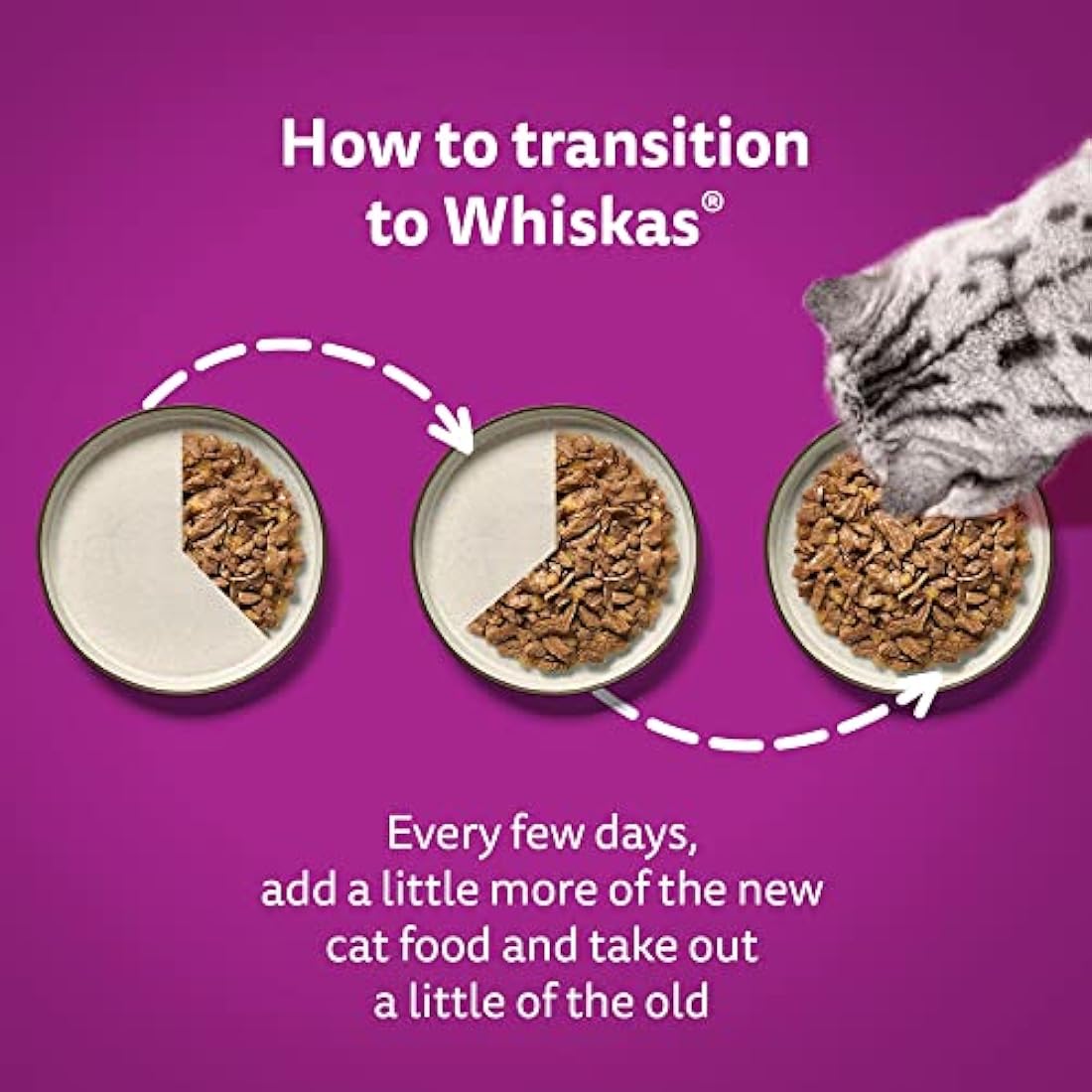 Whiskas Tasty Mix 1+ Catch of the Day in Gravy Adult Cat Food 12 Pouches 85g, Pack of 4