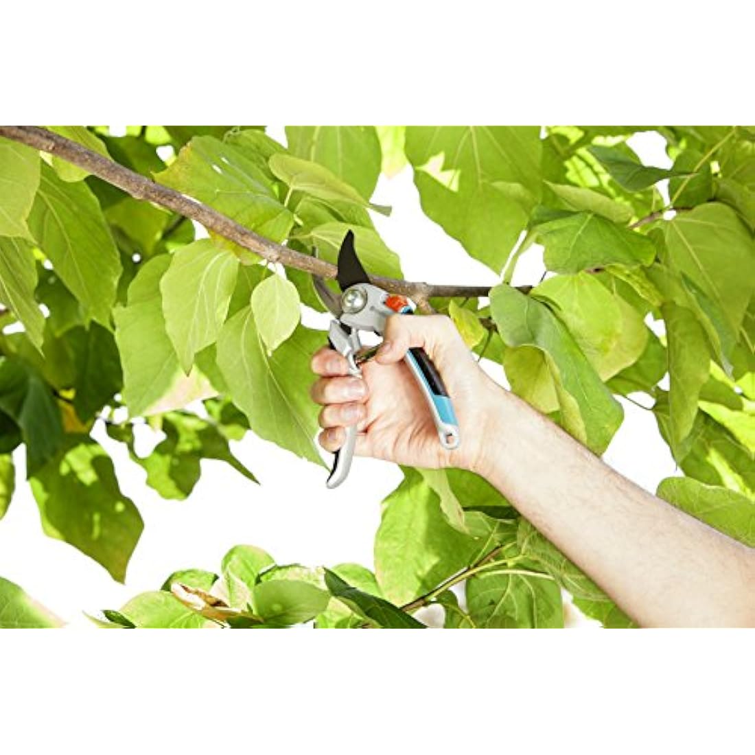 Gardena Alu Garden Secateurs B/L: Gentle Pruning Shears with Bypass Blade for Branches and Twigs of up to 25 mm in Diameter, Robust Aluminium Handles, Exchangeable Blade, Adjustable Joint (8906-20)