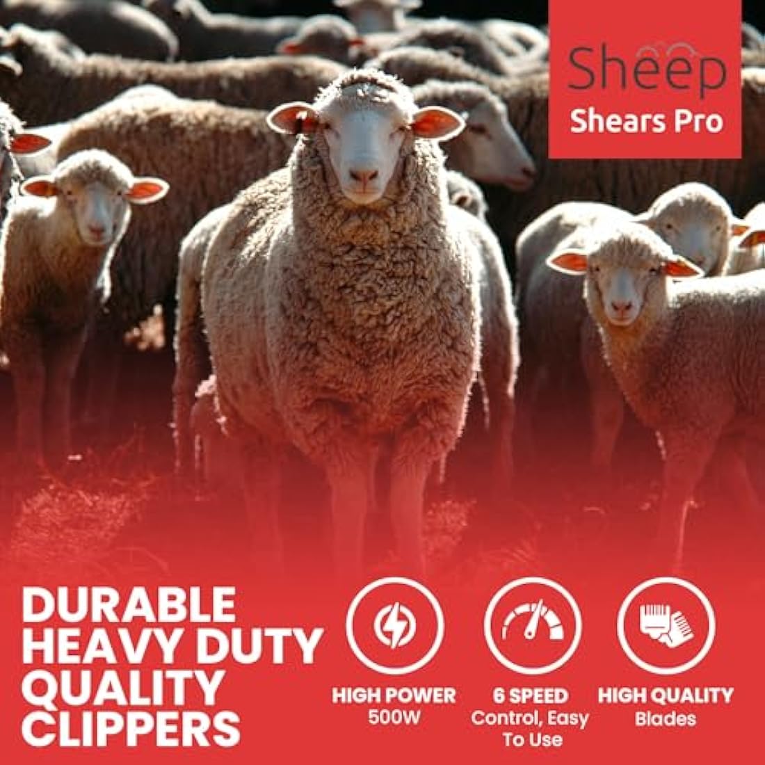 Sheep Shears Pro 220V UK Plug 500W Professional Heavy Duty Electric Shearing Clippers with 6 Speed, for Shaving Fur Wool in Sheep, Goats, Cattle, Farm Livestock Pet,CE