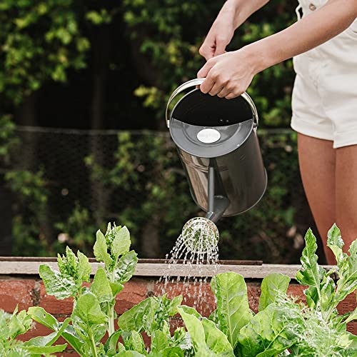 Kent & Stowe 4.5 Litre Vintage Stone Grey Watering Can, Galvanised Steel Can for Daily Watering, Classic English Style Jug with 2 Handles