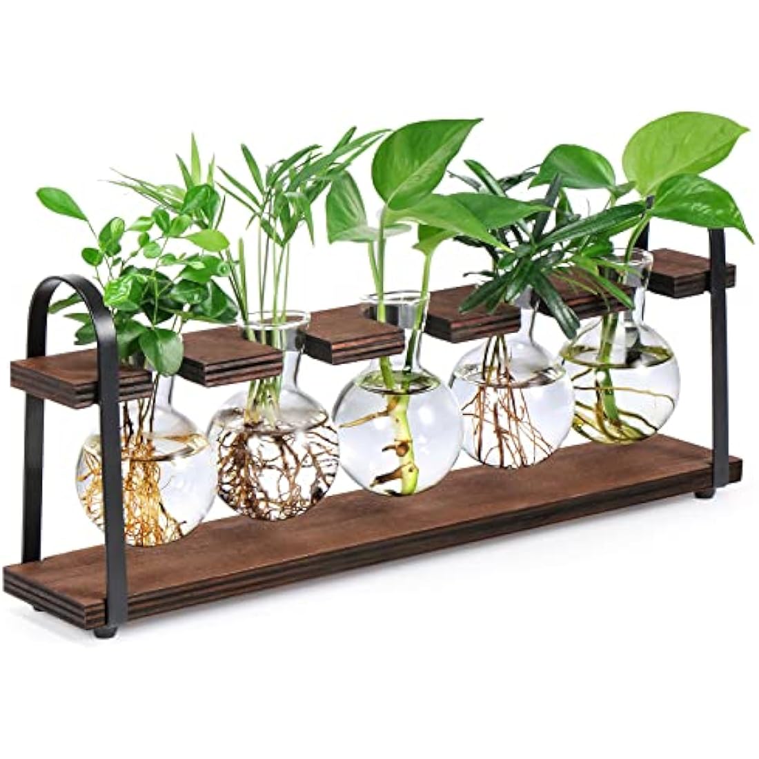 THYGIFTREE Plant Propagation Stations with Wooden Stand, Desktop Retro Plant Terrarium Bulb Vase for Indoor Hydroponic Flowers, Tabletop Glass Planter Housewarming Gifts for Plant Lovers