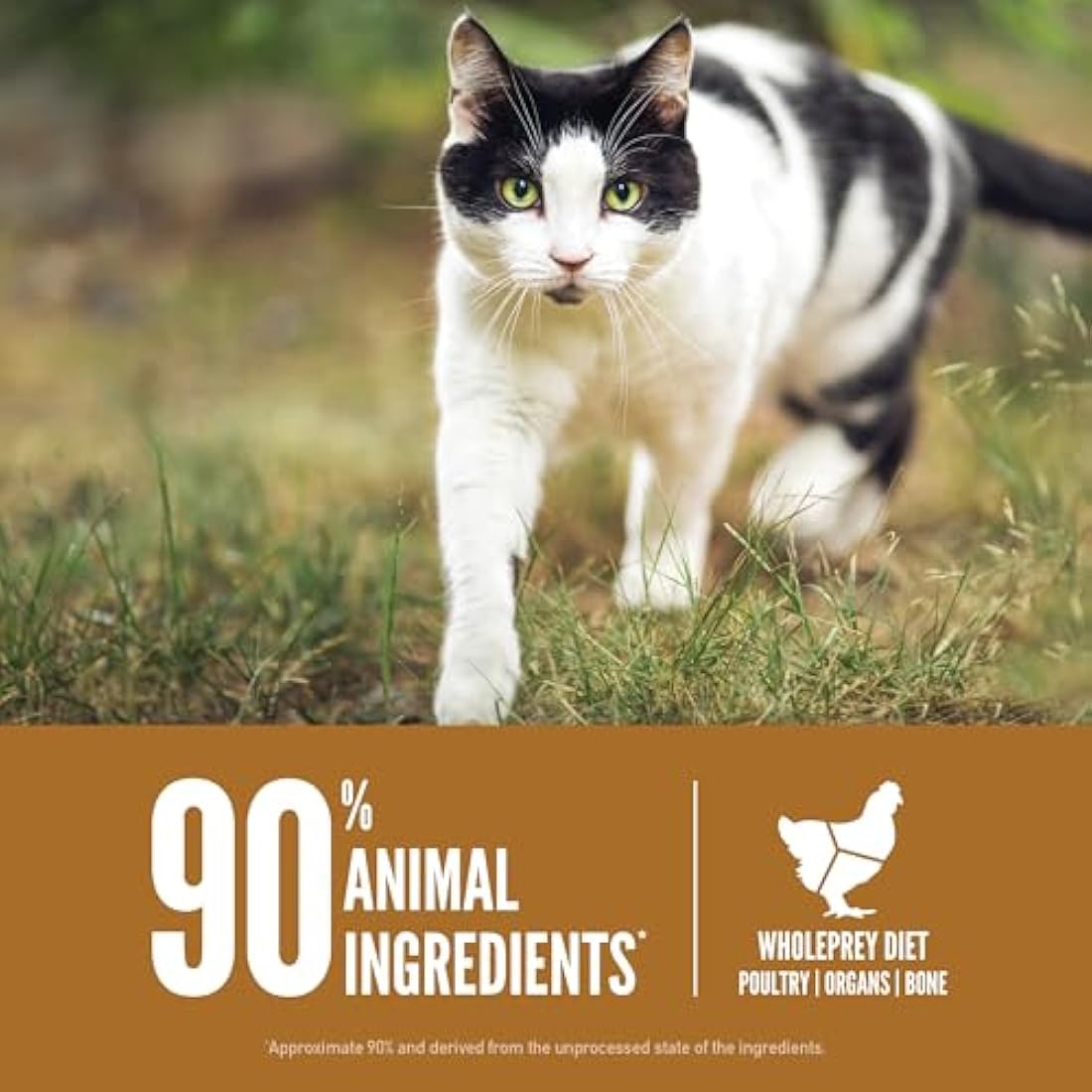 ORIJEN Dry Cat Food, Grain-Free, Fresh and Raw Animal Ingredients